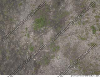 ground soil overgrown 0009